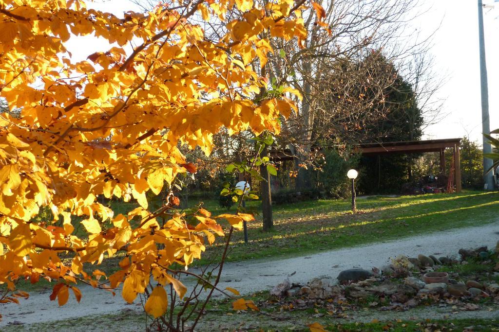 B&B Alle Terme Viterbo Eksteriør bilde