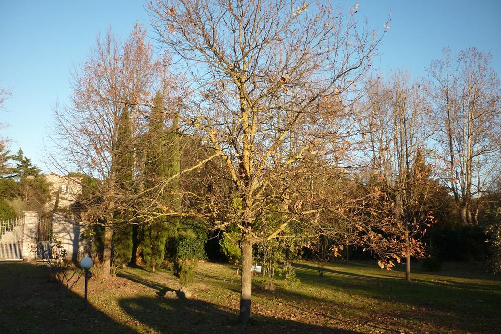 B&B Alle Terme Viterbo Eksteriør bilde