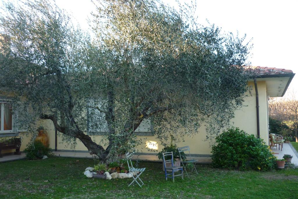 B&B Alle Terme Viterbo Eksteriør bilde